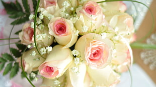 white-and-pink rose bouquet